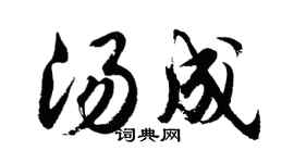 胡问遂汤成行书个性签名怎么写