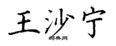 丁谦王沙宁楷书个性签名怎么写