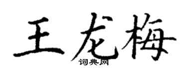 丁谦王龙梅楷书个性签名怎么写