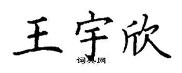 丁谦王宇欣楷书个性签名怎么写