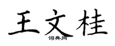 丁谦王文桂楷书个性签名怎么写