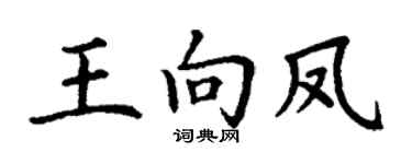 丁谦王向凤楷书个性签名怎么写