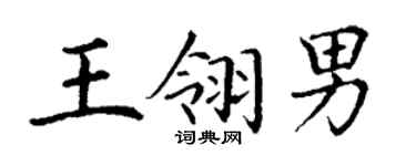 丁谦王翎男楷书个性签名怎么写