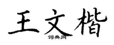 丁谦王文楷楷书个性签名怎么写