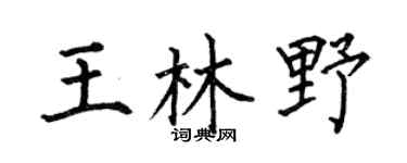 何伯昌王林野楷书个性签名怎么写