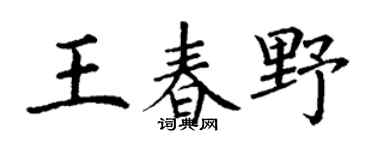 丁谦王春野楷书个性签名怎么写