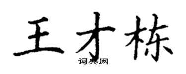 丁谦王才栋楷书个性签名怎么写