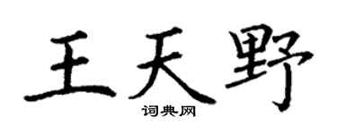 丁谦王天野楷书个性签名怎么写