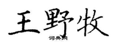 丁谦王野牧楷书个性签名怎么写