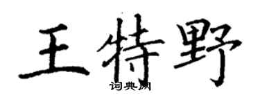 丁谦王特野楷书个性签名怎么写