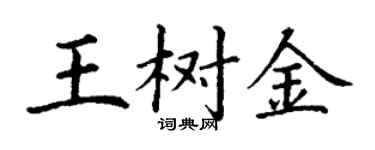 丁谦王树金楷书个性签名怎么写