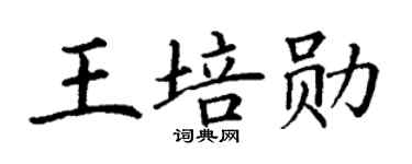 丁谦王培勋楷书个性签名怎么写