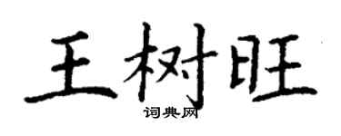 丁谦王树旺楷书个性签名怎么写