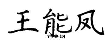 丁谦王能凤楷书个性签名怎么写