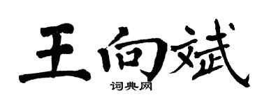 翁闿运王向斌楷书个性签名怎么写