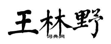 翁闿运王林野楷书个性签名怎么写