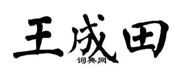 翁闿运王成田楷书个性签名怎么写