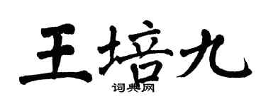 翁闿运王培九楷书个性签名怎么写