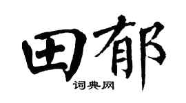 翁闿运田郁楷书个性签名怎么写