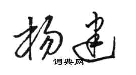 骆恒光杨建草书个性签名怎么写