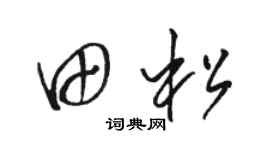 骆恒光田松草书个性签名怎么写