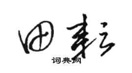 骆恒光田耘草书个性签名怎么写