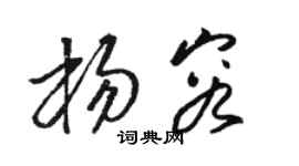 骆恒光杨容草书个性签名怎么写