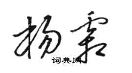 骆恒光杨霜草书个性签名怎么写