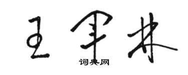 骆恒光王军林草书个性签名怎么写