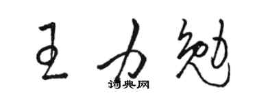 骆恒光王力勉草书个性签名怎么写