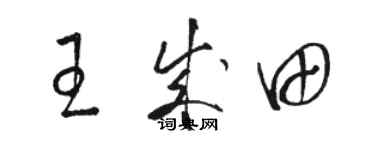 骆恒光王成田草书个性签名怎么写