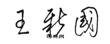 骆恒光王新国草书个性签名怎么写