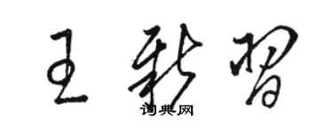 骆恒光王新习草书个性签名怎么写