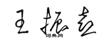 骆恒光王振喜草书个性签名怎么写
