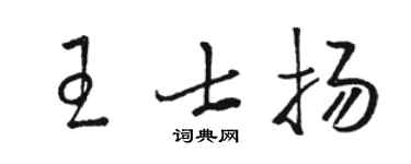 骆恒光王士扬草书个性签名怎么写