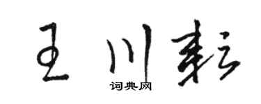 骆恒光王川耘草书个性签名怎么写