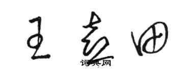 骆恒光王喜田草书个性签名怎么写