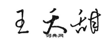 骆恒光王夭甜草书个性签名怎么写