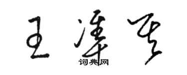 骆恒光王准其草书个性签名怎么写