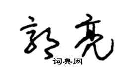 朱锡荣郭亮草书个性签名怎么写