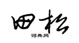 朱锡荣田松草书个性签名怎么写