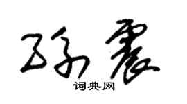 朱锡荣孙震草书个性签名怎么写