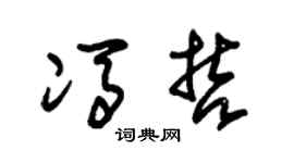 朱锡荣冯哲草书个性签名怎么写