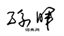 朱锡荣孙晖草书个性签名怎么写