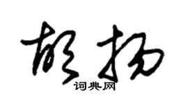 朱锡荣胡扬草书个性签名怎么写