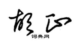 朱锡荣胡正草书个性签名怎么写