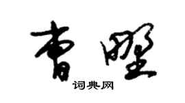 朱锡荣曹野草书个性签名怎么写