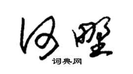 朱锡荣何野草书个性签名怎么写