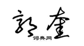 朱锡荣郭奎草书个性签名怎么写