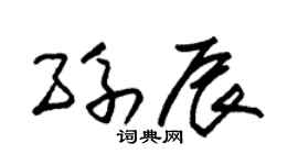 朱锡荣孙辰草书个性签名怎么写